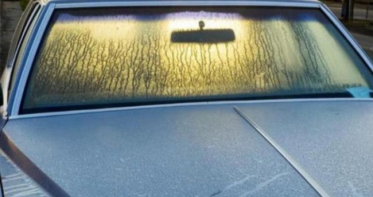 هكذا تمنع الضباب من التكون على زجاج سيارتك